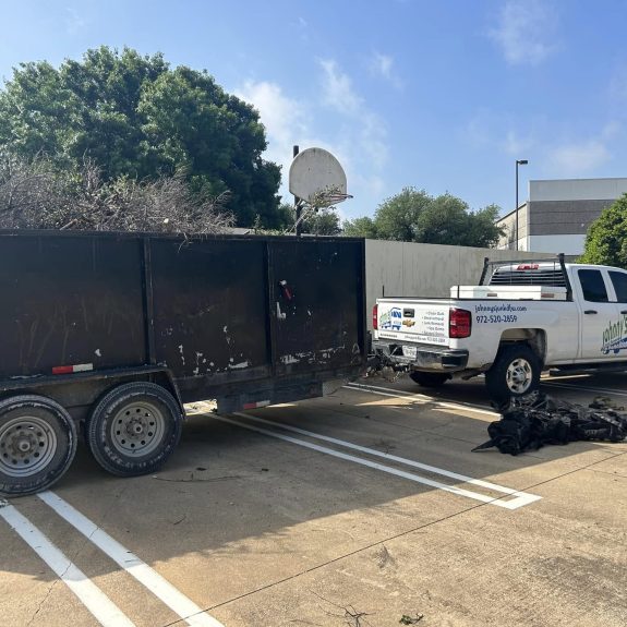 tree up in the dumpster trail